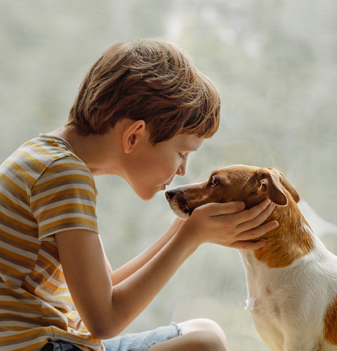 Hund mit Junge