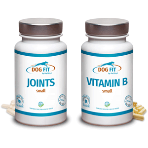 DOG FIT by PreThis JOINTs und VITAMIN B