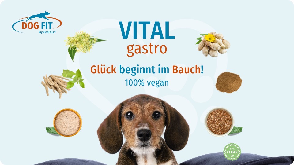 VITAL gastro für Hunde