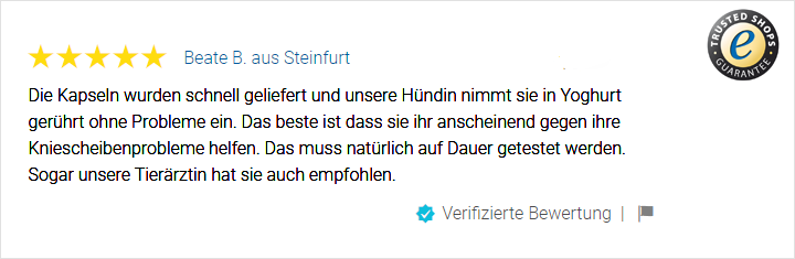 JOINTS Bewertung