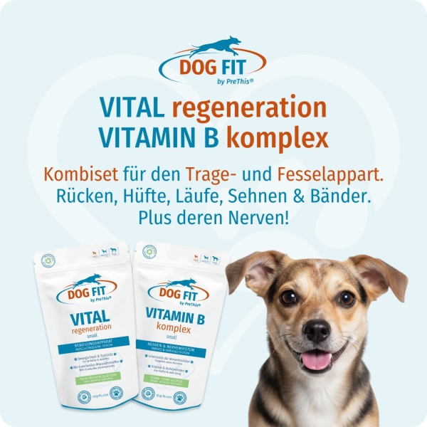DOG FIT by PreThis® VIT B & VITAL regeneration