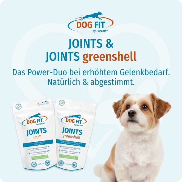 DOG FIT by PreThis® JOINTS und JOINTS greenshell small