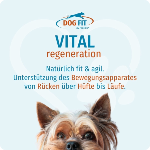 DOG FIT by PreThis® VITAL regeneration for the musculoskeletal system of dogs