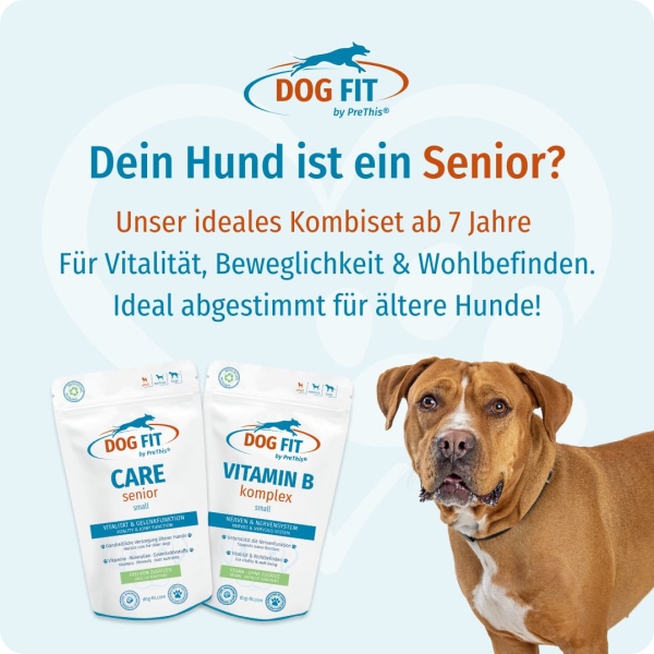 DOG FIT by PreThis® CARE senior und Vitamin B small ab ca. 7 Jahre
