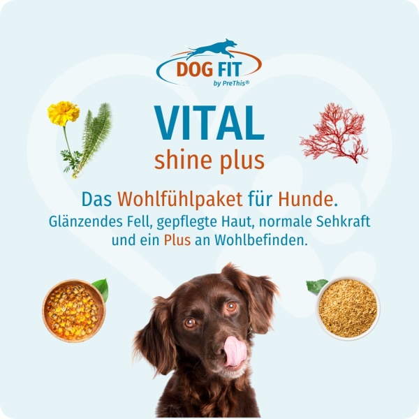 DOG FIT by PreThis® VITAL shine plus
