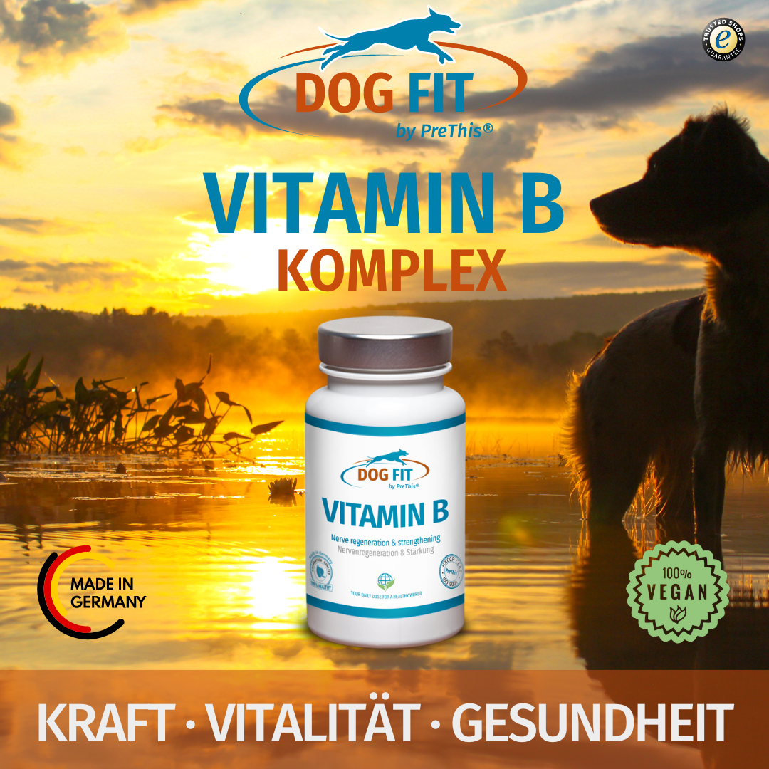 Vitamin B Komplex Hunde » DOG FIT PreThis®
