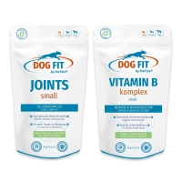 DOG FIT by PreThis® JOINTS und VITAMIN B