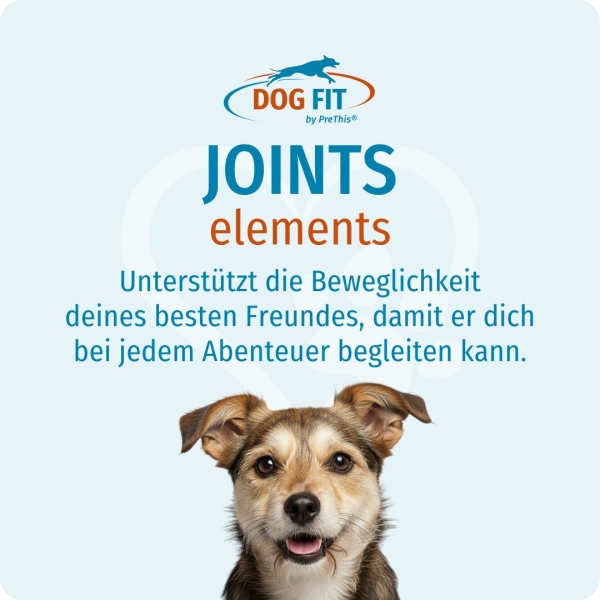 DOG FIT by PreThis® JOINTS elements small