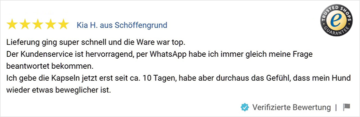 Bewertung Trusted Shops JOINTS