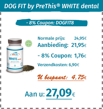 DOG FIT WHITE dental