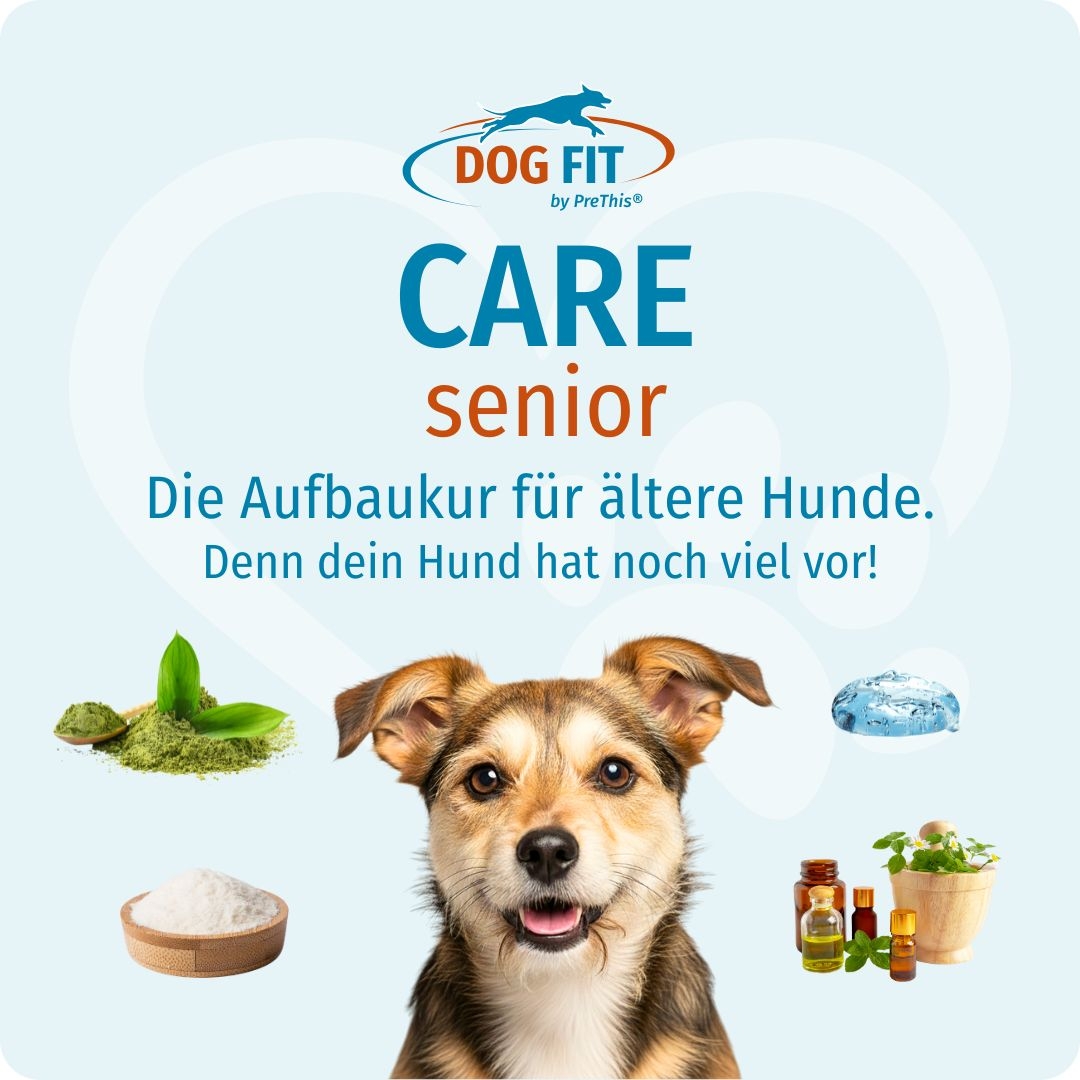 For vital senior dogs: Vitamins joint care » CARE senior » DOG