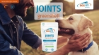 DOG FIT by PreThis® JOINTS greenshell