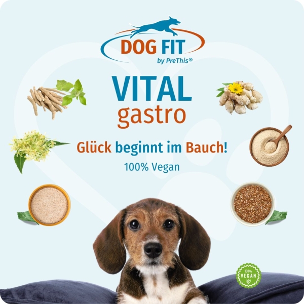 DOG FIT by PreThis VITAL gastro