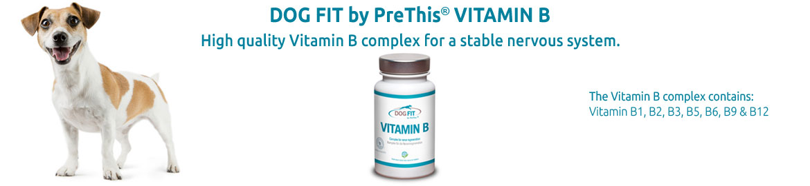 Strengthen the nervous system of dogs » DOG FIT by PreThis®