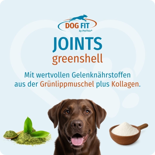DOG FIT by PreThis® JOINTS greenshell