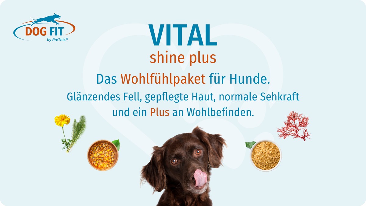 VITAL shine plus für Hunde