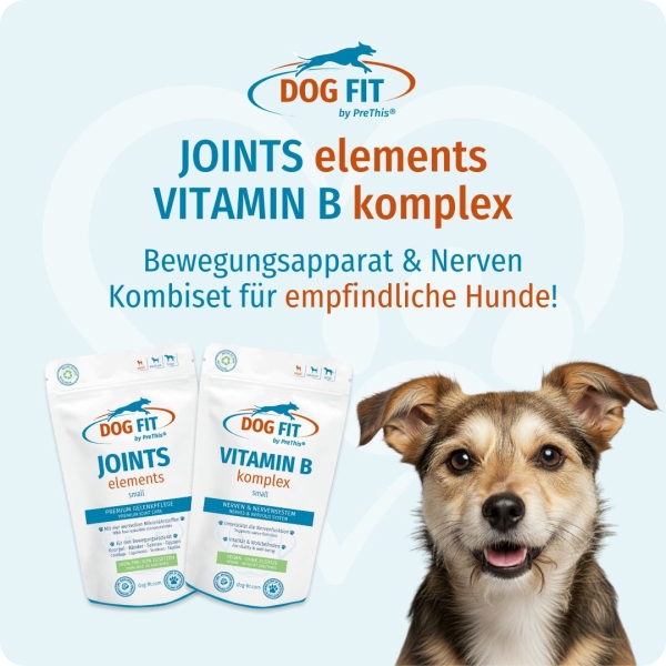 DOG FIT by PreThis JOINTS elements und VITAMIN B Komplex Kombiset