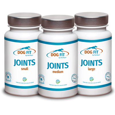 DOG FIT by PreThis JOINTS