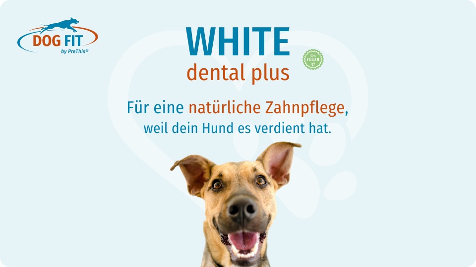 WHITE dental plus Zahnpflege für Hunde