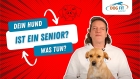DOG FIT by PreThis® CARE senior