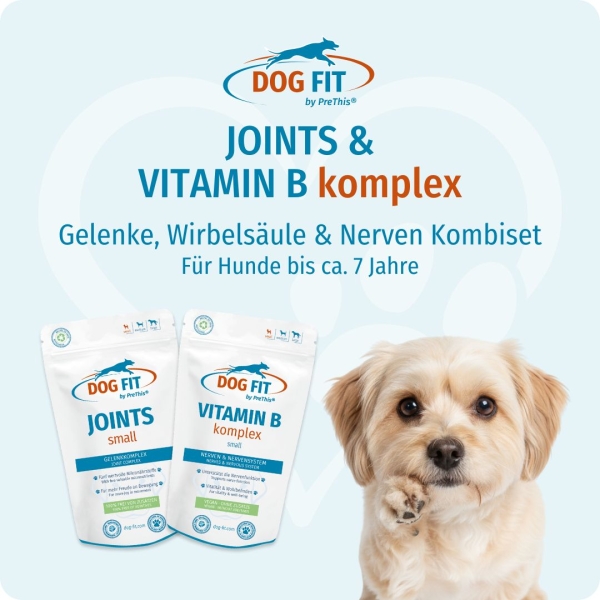 DOG FIT by PreThis® JOINTS und VITAMIN B small