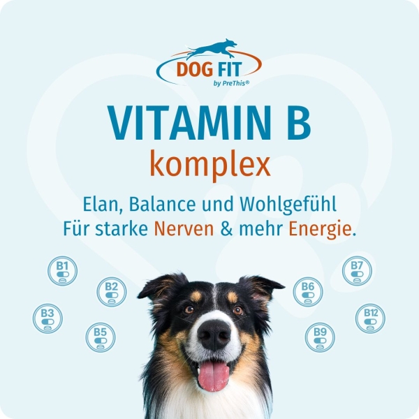 DOG FIT by PreThis® VITAMIN B Komplex small