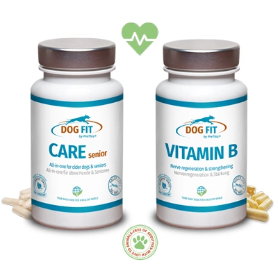 JOINTS greenshell & Vitamin B für Hunde