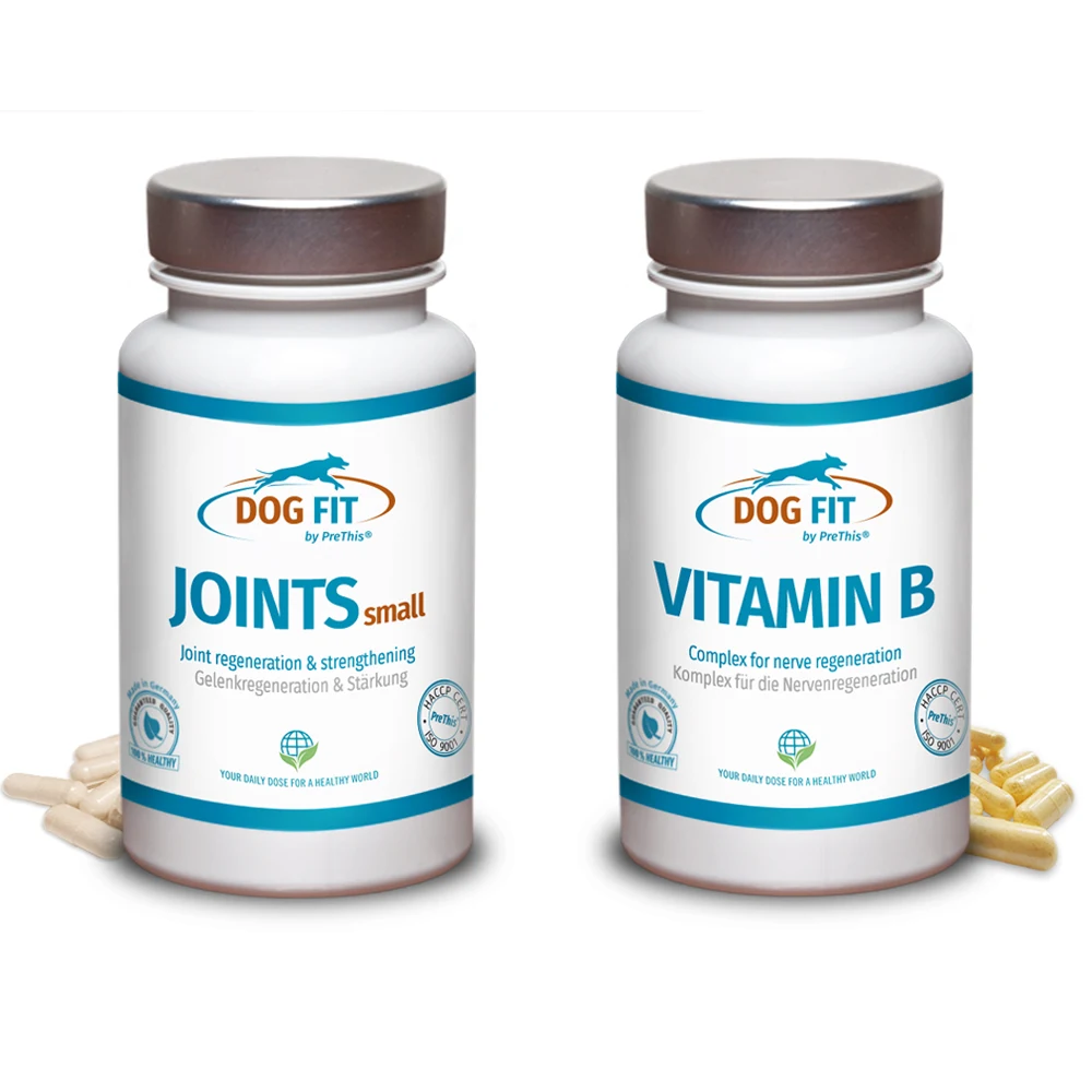 JOINTS greenshell & Vitamin B für Hunde