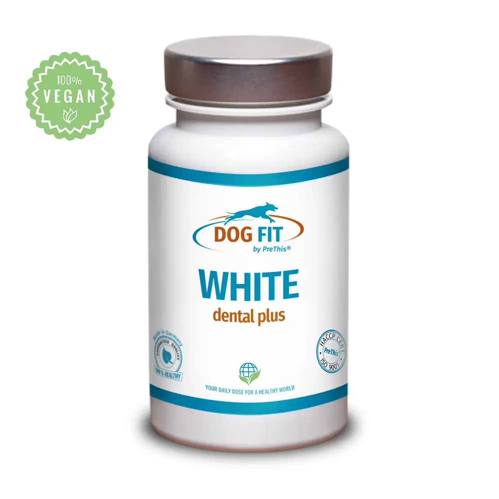 DOG FIT by PreThis WHITE dental