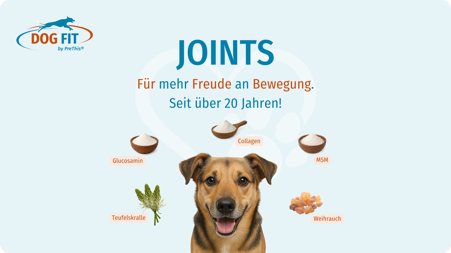 DOG FIT by PreThis® JOINTS Gelenkkomplex Zutaten