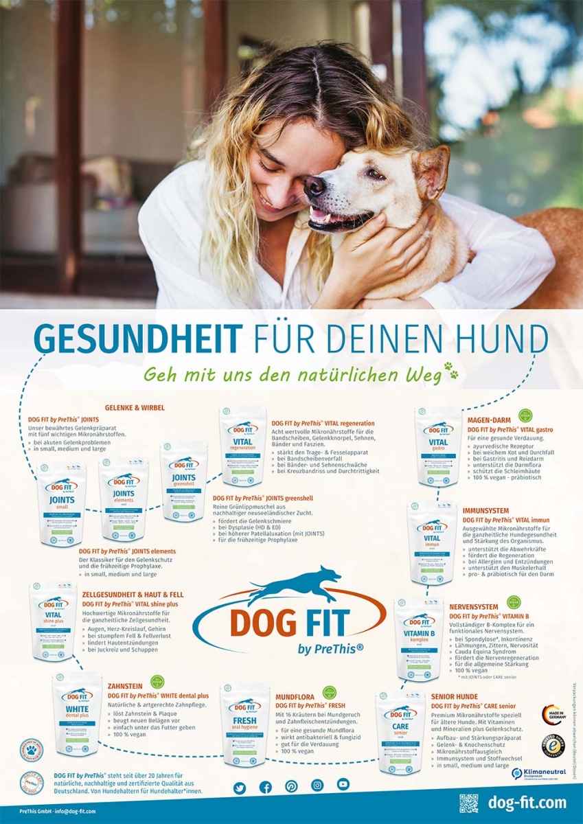 Vitamin BKomplex für Hunde » DOG FIT PreThis® VITAMIN B kaufen