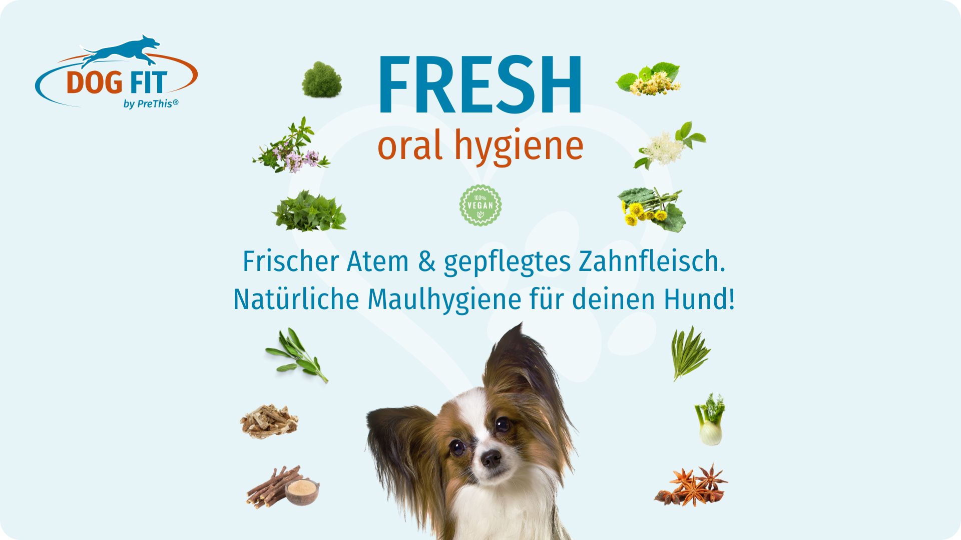 DOG FIT by PreThis® FRESH oral hygiene für frischen Atem und Zahnfleischpflege
