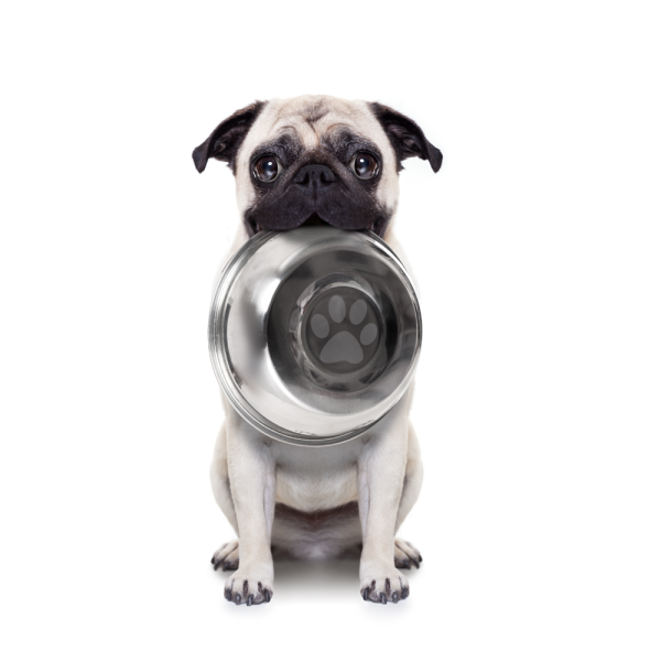 Futtercheck für Hunde von DOG FIT by PreThis®