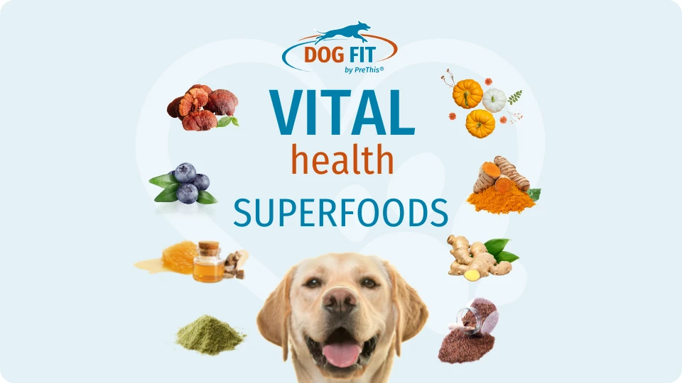 VITAL health Superfoods & Vitalpilze für Hunde