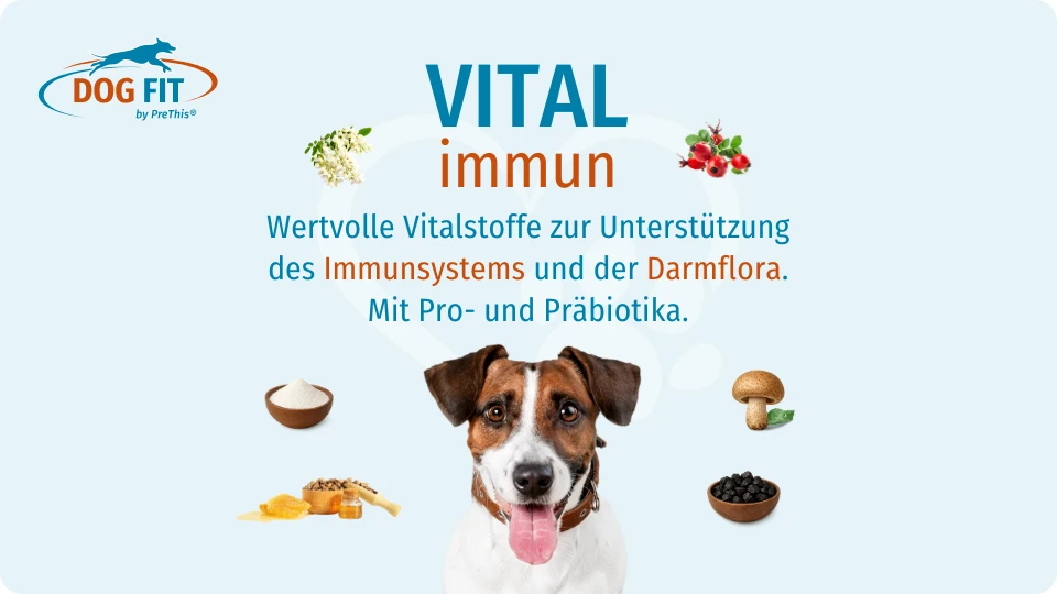 VITAL immun für Immunsystem und Darmflora von Hunden