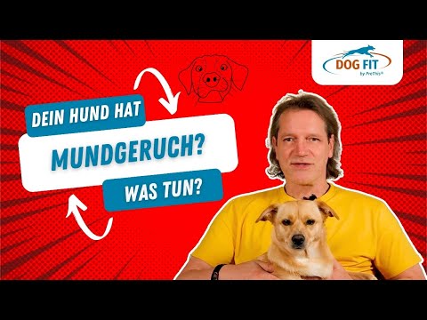 Mundgeruch &amp; Zahnfleischentzündung beim Hund » Ursachen &amp; Behandlung » DOG FIT by PreThis®