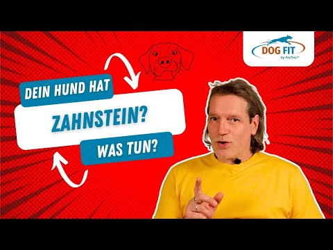 Zahnstein beim Hund selbst entfernen » So klappt's! » DOG FIT by PreThis®