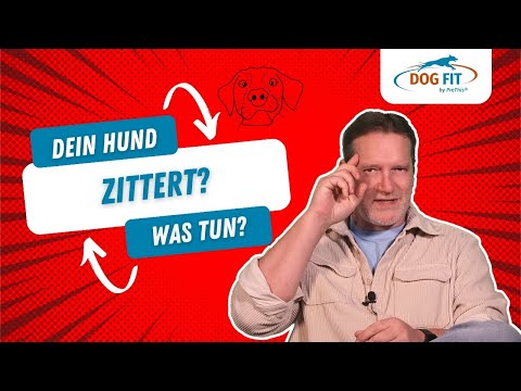 Zittern beim Hund » Ursache &amp; Behandlung erklärt von DOG FIT by PreThis®