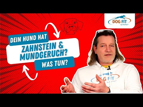 Zahnstein &amp; Mundgeruch beim Hund entfernen » Ursachen &amp; Behandlung » DOG FIT by PreThis®