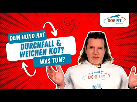 Durchfall &amp; weicher Kot bei Hunden » Ursachen &amp; Behandlung » DOG FIT by PreThis®