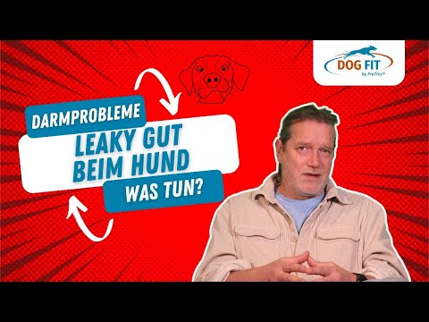 Leaky Gut (löchriger Darm) beim Hund » Ursachen &amp; Behandlung » DOG FIT by PreThis®