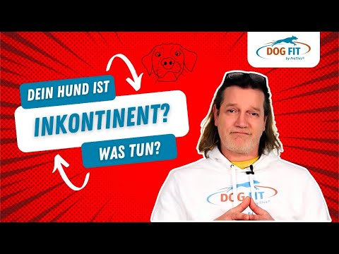 Inkontinenz bei Hunden » Ursachen &amp; Behandlung » DOG FIT by PreThis®