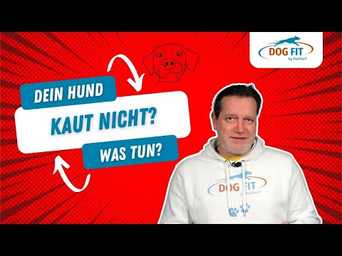 Dein Hund kaut nicht? Erklärung &amp; Tipps von DOG FIT by PreThis®