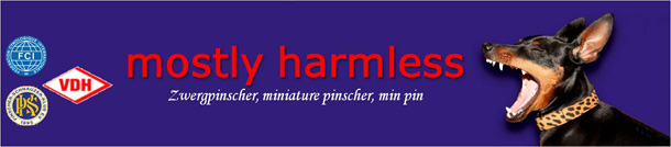 Mostly Harmless Miniature Pinscher