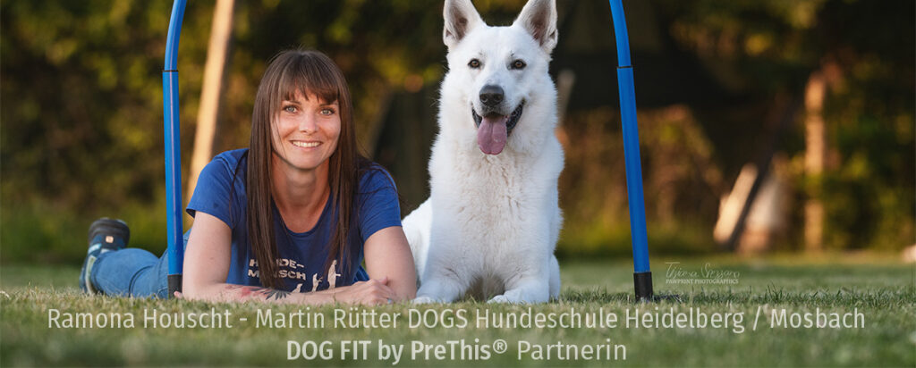  DOGT FIT Partner