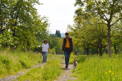 Ramona Houscht - Martin Rütter Hundeschule Heidelberg / Mosbach / Buchen