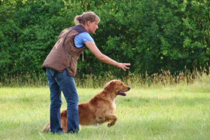 Franziska Herre Martin Rütter DOGS