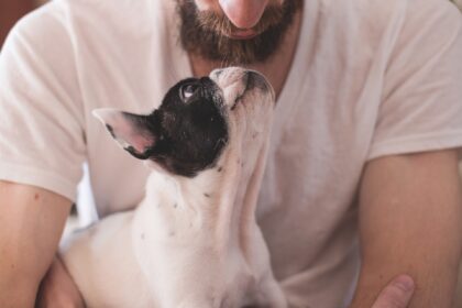 Hund-Mensch-Freundschaft