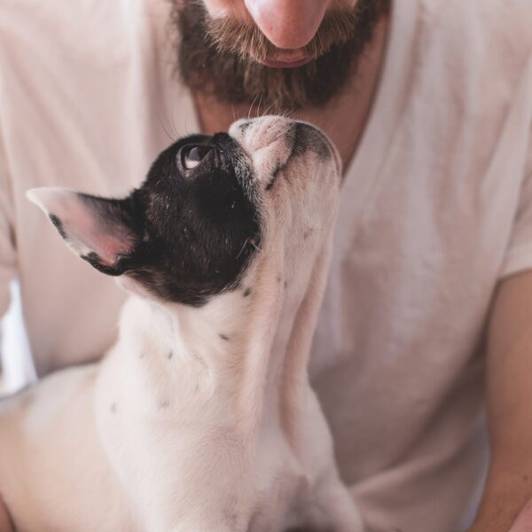 Hund-Mensch-Freundschaft