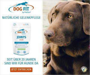 DOG FIT by PreThis® JOINTS für die Gelenke